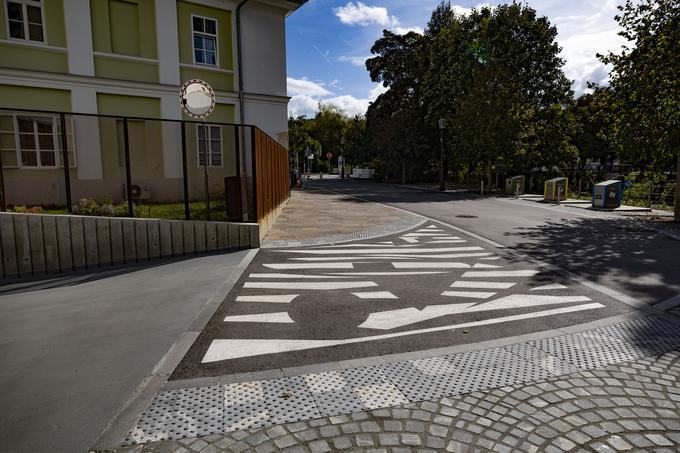 Zebre v Ljubljani | Foto: Ana Kovač