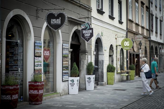 turizem Ljubljana | Letos se je v prvih osmih mesecih za oddajanje nepremičnin registriralo za 30 odstotkov več zavezancev kot v enakem obdobju lani. | Foto Ana Kovač