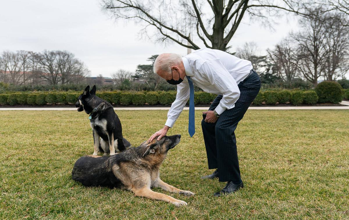 Biden | "To je dobra novica za Američane," je od podpisu zakona dejal predsednik ZDA Joe Biden. | Foto Guliverimage