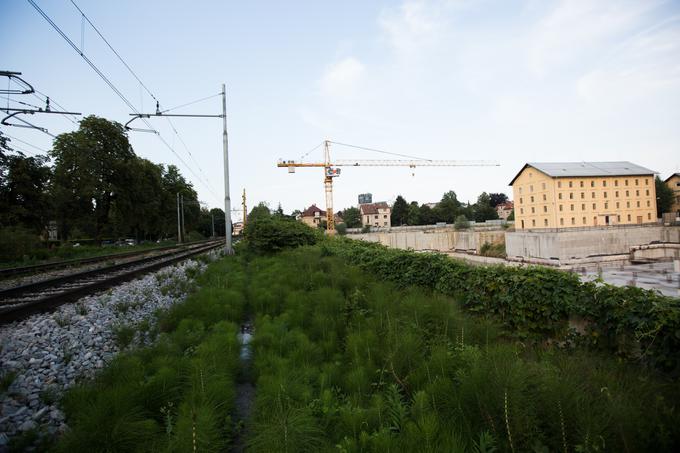 Tobačna mesto | Foto: Klemen Korenjak