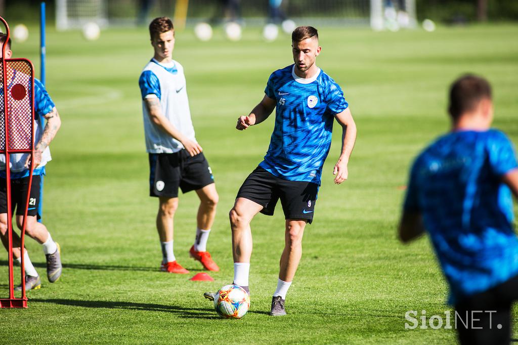 slovenska nogometna reprezentanca, trening