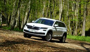 Škoda kodiaq: komaj je zapeljal v Slovenijo, pa je že uspešnica #foto #video