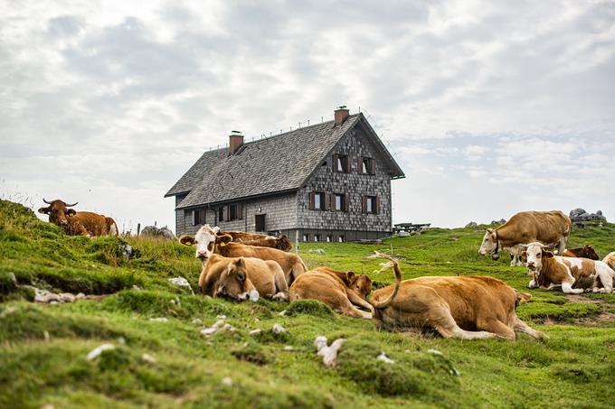 Krekova koča na Ratitovcu. | Foto: Peter Podobnik