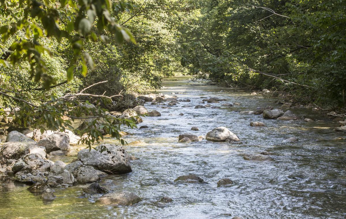 Ig koliščarji iški vintgar kurešček | Foto Matej Leskovšek