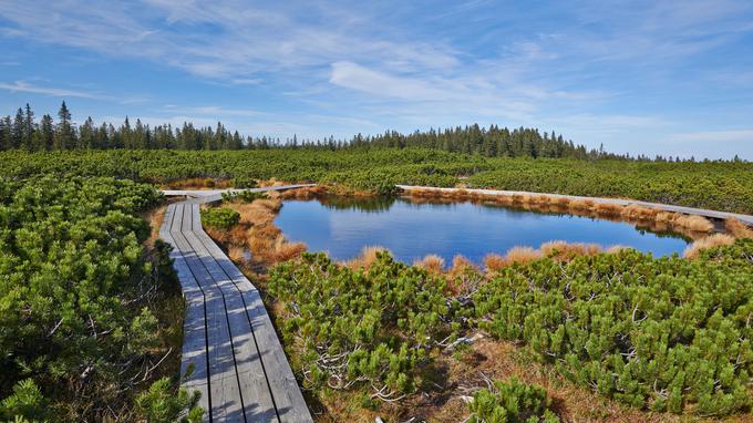 Ribniško jezero na Pohorju.  | Foto: Getty Images