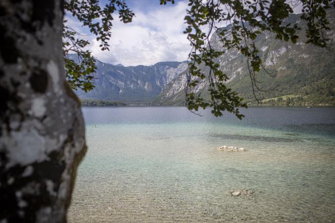 Peugeot Bohinj | Foto: Bojan Puhek