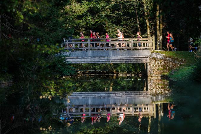 triglav tek | Foto: Grega Valančič / Sportida