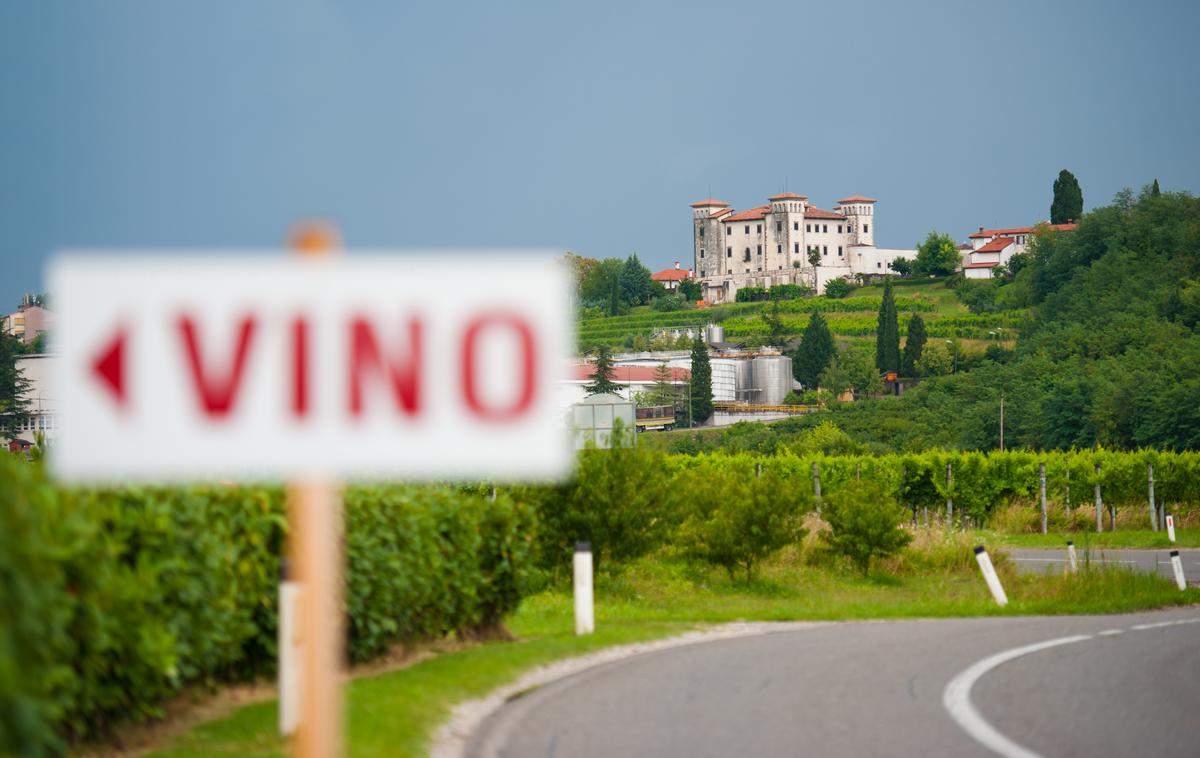 Goriška brda, vino | Foto Getty Images