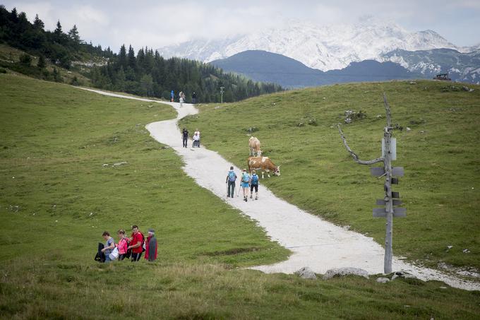 Velika planina Alpe gore hribi | Foto: Ana Kovač