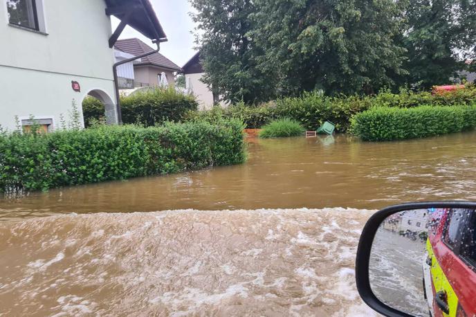 poplave 2023 |  V uničujočih poplavah so ostale ujete številne živali, ki jih ljudje v borbi za preživetje niso mogli rešiti.  | Foto Mediaspeed