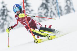 Zlata lisica, slalom