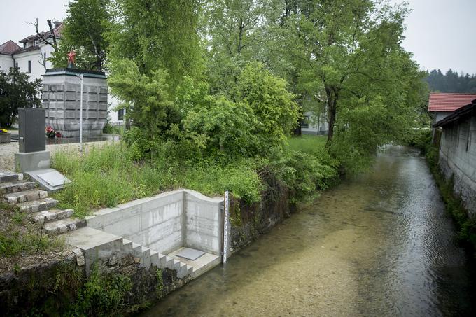 V onesnaženi del potoka bodo ponovno naselili ribe, ko si bo ekosistem v potoku vsaj za silo opomogel, pravijo v Ribiški družini Vrhnika. 

 | Foto: Ana Kovač