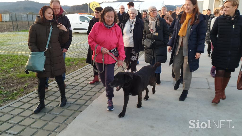 Zavetišče Ljubljana Gmajnice ljubljenčki pes mačka