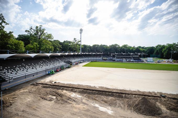 Fazanerija bo prihodnji četrtek prvič zažarela v novi podobi na evropski tekmi. | Foto: Blaž Weindorfer/Sportida