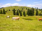 Izbrana kakovost Slovenija