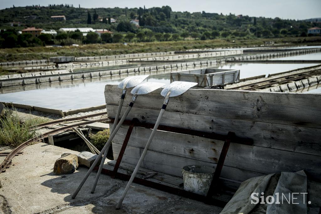 Strunjan morje obala soline