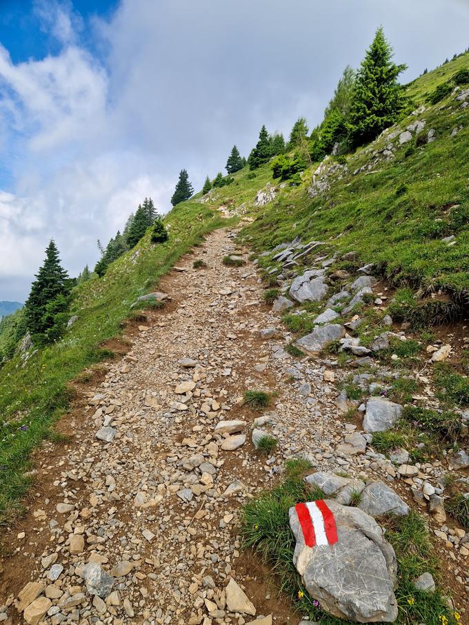 Po mulatjeri na zahodni vrh Ojstrnika | Foto: Matej Podgoršek