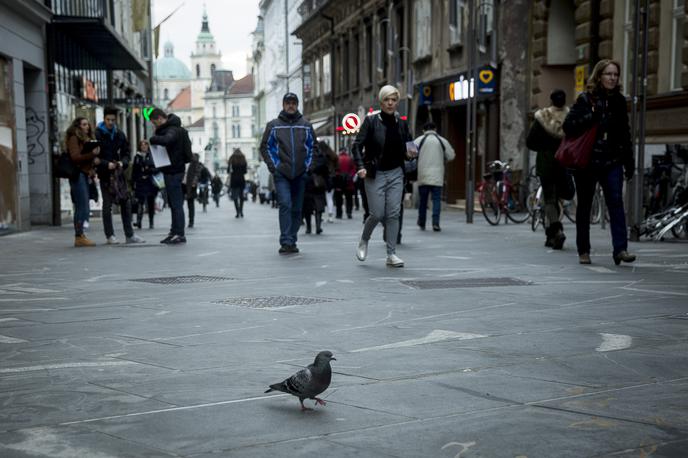 Ulica. | Preizkus znanja slovenskega jezika na osnovni ravni lahko tujci opravijo v ustanovah, ki izvajajo javno veljavni program izobraževanja slovenščina kot drugi/tuji jezik.  | Foto Ana Kovač