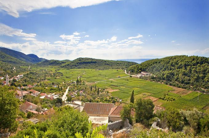 Čara in čarsko polje na Korčuli. | Foto: Mario Hlača / Dubrovnik and Neretva County Tourist Board