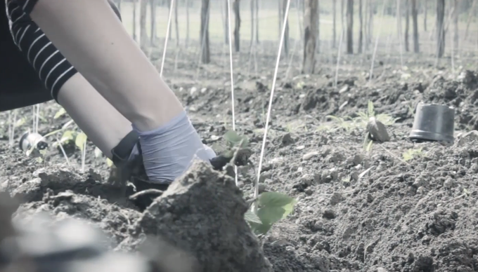 Prav na hmeljišču, po katerem je posejanih na stotine plastičnih cvetličnih lončkov, se začne tudi promocijski videoposnetek za Evegreen. Kliknite na fotografijo za ogled. | Foto: Evegreen