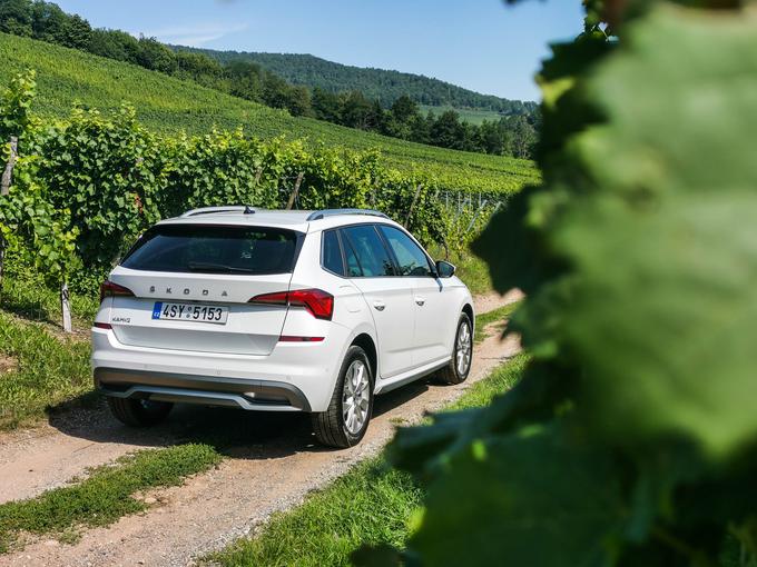 Škoda letos v Sloveniji lovi 10-odstotni tržni delež, njihov jesenski adut bo novi kamiq. | Foto: Gašper Pirman