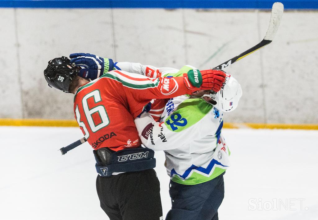 Slovenija Madžarska pripravljalna tekma hokej Anže Kuralt