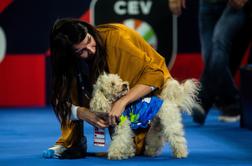 Rdeča luč za največjo "faco" v Stožicah #foto