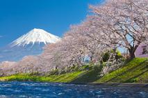 Japonska, gora fuji