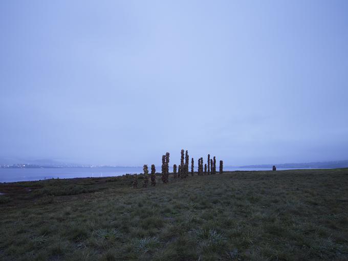 Herba Ostrea, Tasmanija, 2016 | Foto: Benjamin Hosking, z dovoljenjem Mateja Andraža Vogrinčiča