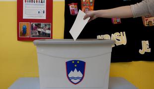 Kaj morate vedeti o nedeljskem družinskem referendumu?