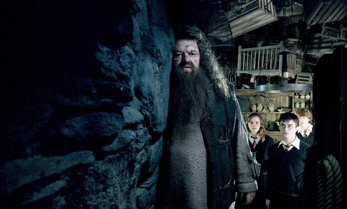 Robbie Coltrane kot dobrodušni Hagrid v Harryju Potterju | Foto: Guliverimage/Zuma