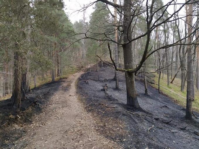 Debni vrh po požaru. | Foto: PGD Sostro