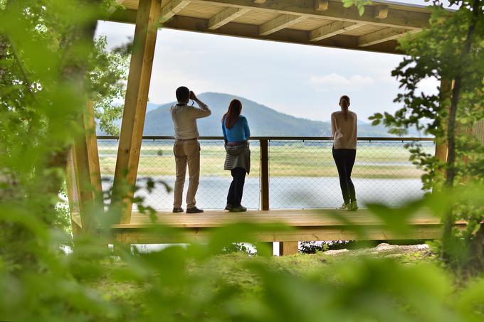 Pot Drvošec_opazovalnica-Klejni vrh | Foto: Javni zavod Notranjski regijski park