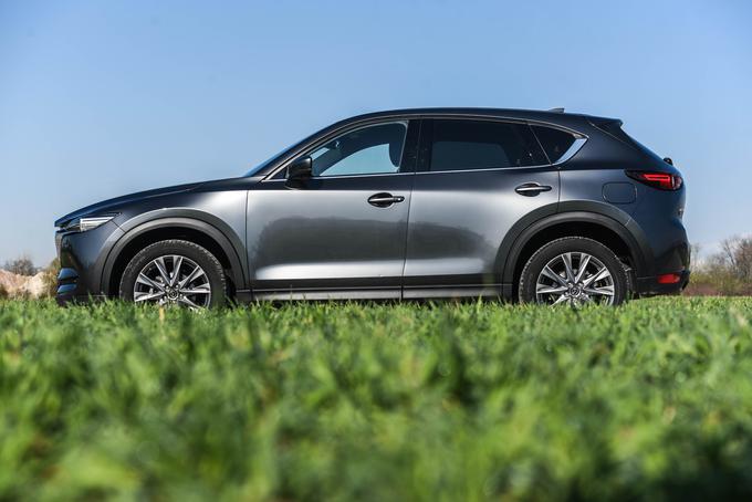 Z 20-centimetrsko oddaljenostjo od tal na 19-palčnih kolesih je mazda CX-5 primerna tudi za terenske podvige. | Foto: Gašper Pirman