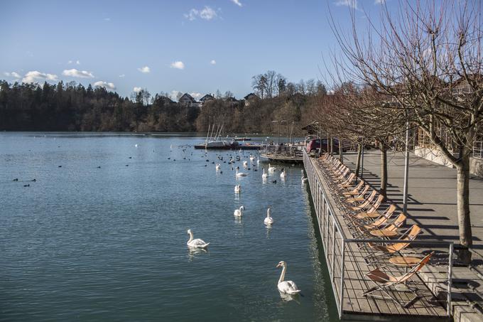 Po nastanku zajezitvenega jezera so sčasoma okoli njega nastali tudi čolnarna, okrepčevalnica in drugi gostinski obrati. | Foto: Matej Leskovšek