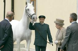 Poginil je žrebec, ki so ga v Lipici podarili britanski kraljici Elizabeti II