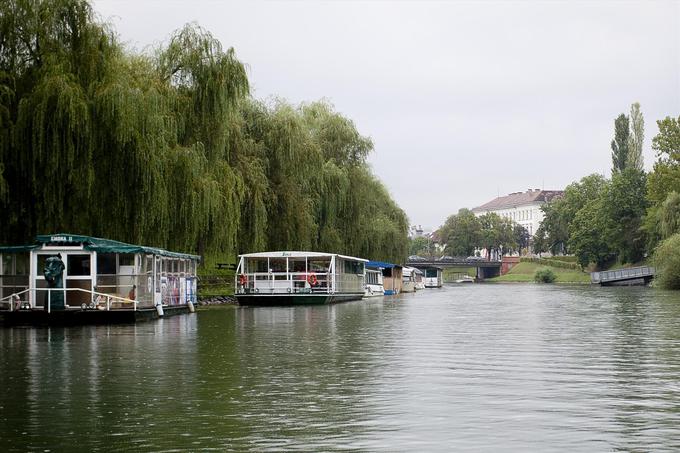 Ljubljanica | Foto: 