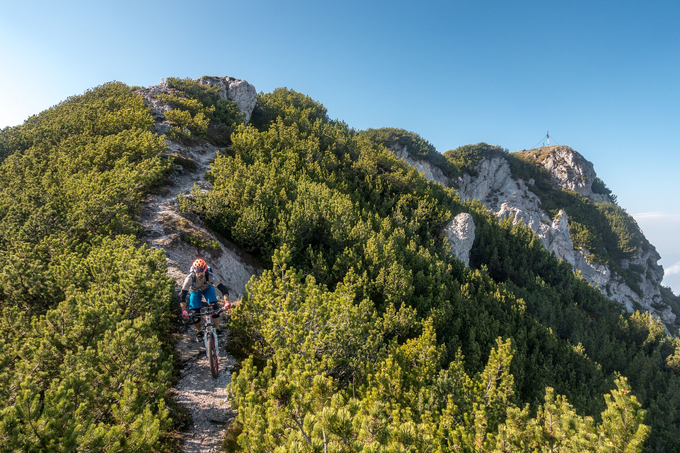 Foto: Aljaž Šterk | Foto: 