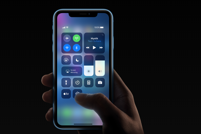 iPhone XR na večji površini prinaša približno takšno ostrino slike kot lanski iPhone 8, ki ima precej manjši zaslon. | Foto: Apple