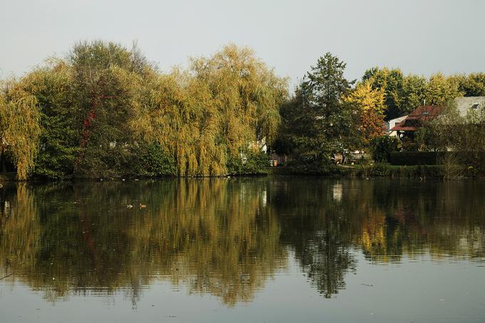 Koseški bajer | Foto: Ana Kovač