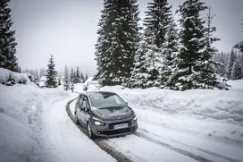 Citroën, biatlon, Pokljuka