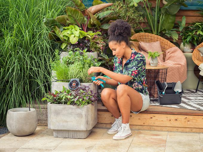 GARDENA AquaBloom s solarnim napajanjem poskrbi za samostojno kapljično dovajanje vode rastlinam, ko vas ni doma. | Foto: 