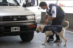 Argentinska policija zasegla tono kokaina