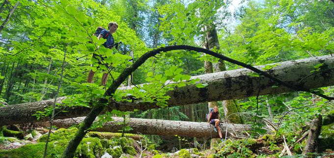 Del krožne transverzale po Sloveniji je prehodil s svojima otrokoma, ki sta imela takrat 12 oziroma 15 let. | Foto: osebni arhiv Jakob J. Kenda