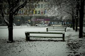 Sneženje v Ljubljani