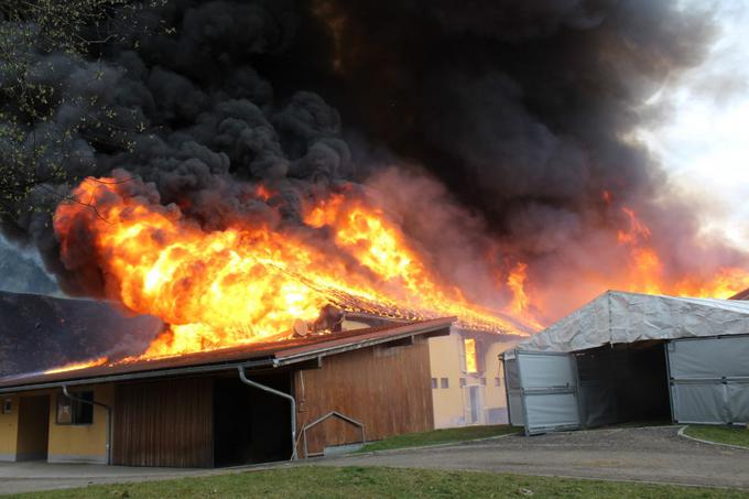 Gašenje požara blizu Lipnice | Foto: Stadtfeuerwehr Leibnitz