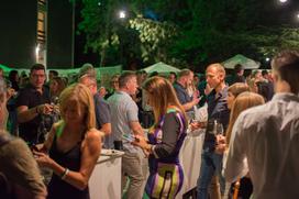 Nova Gorica Hit Park Wine Party vinski festival