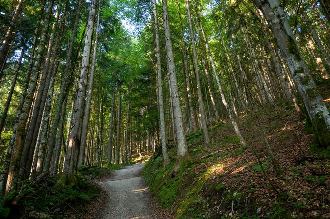 Strma cesta | Foto: Matej Podgoršek