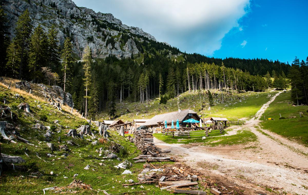 Planšarija Dolga njiva | Ko je zdajšnji oskrbnik planine Dolga njiva pod Košuto Matjaž Kleindienst prvič zagledal ta kotiček karavanškega raja, ga je spomnil na pravljico o Janku in Metki. | Foto Peter Podobnik / Sportida