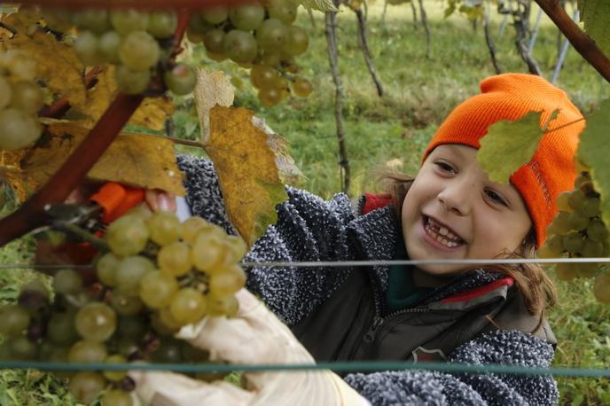 otrok in vino